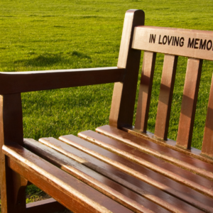 photo of memorial bench