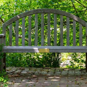 photo of memorial bench