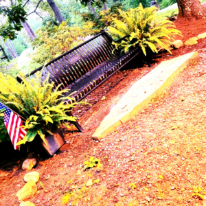 photo of memorial bench