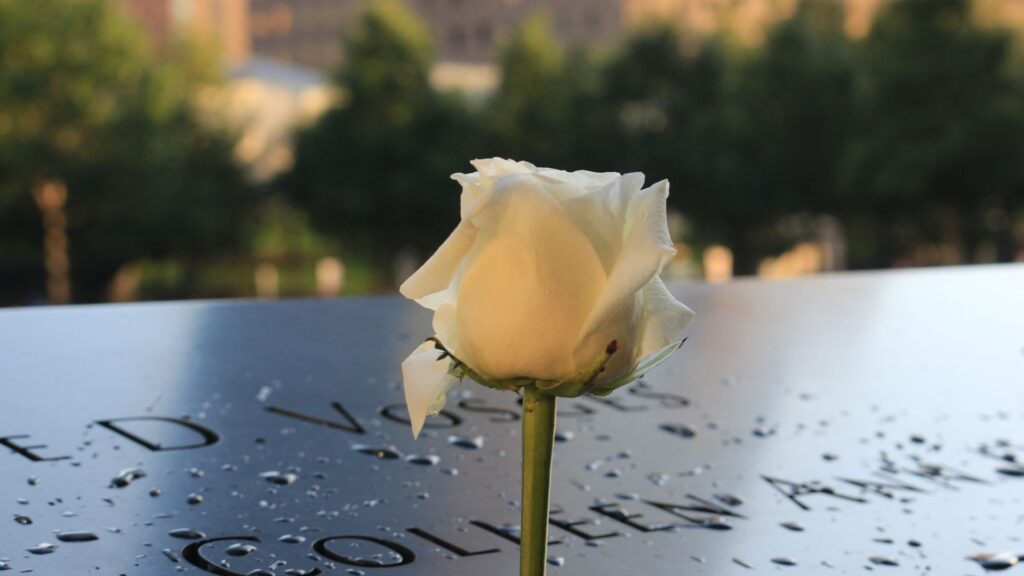 rose in front of tombstone